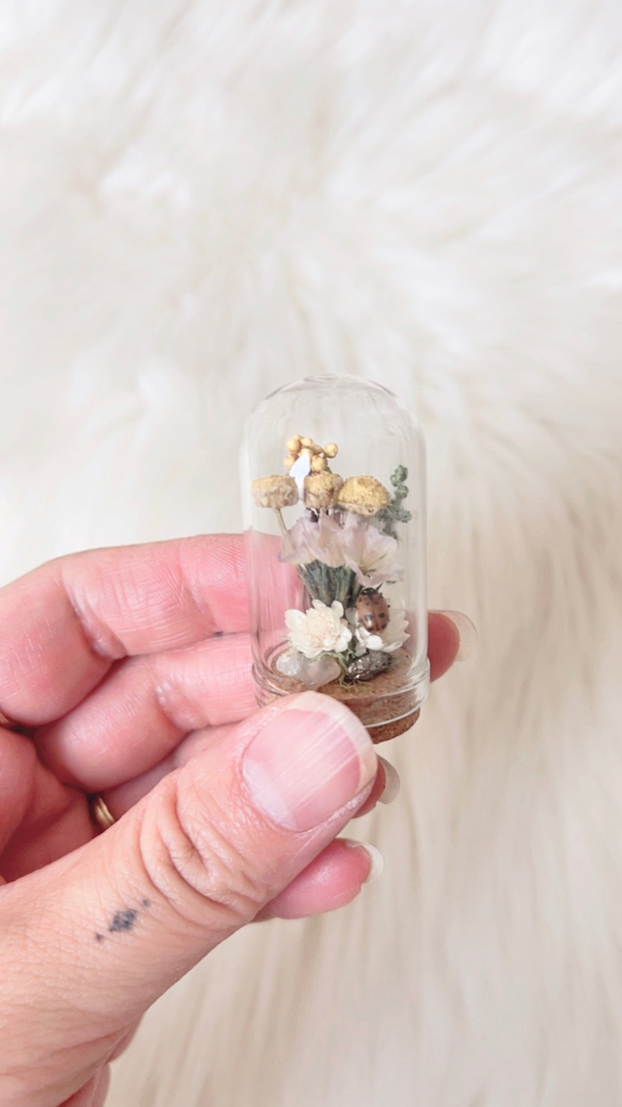 Gemma Mini Terrarium
