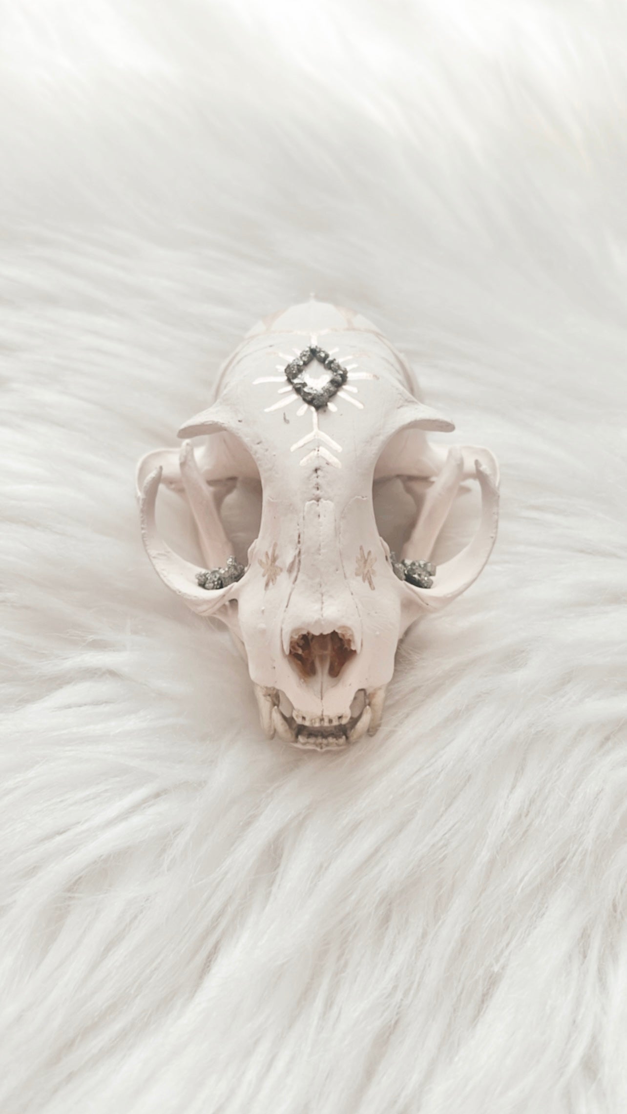 Genevieve Cat Skull