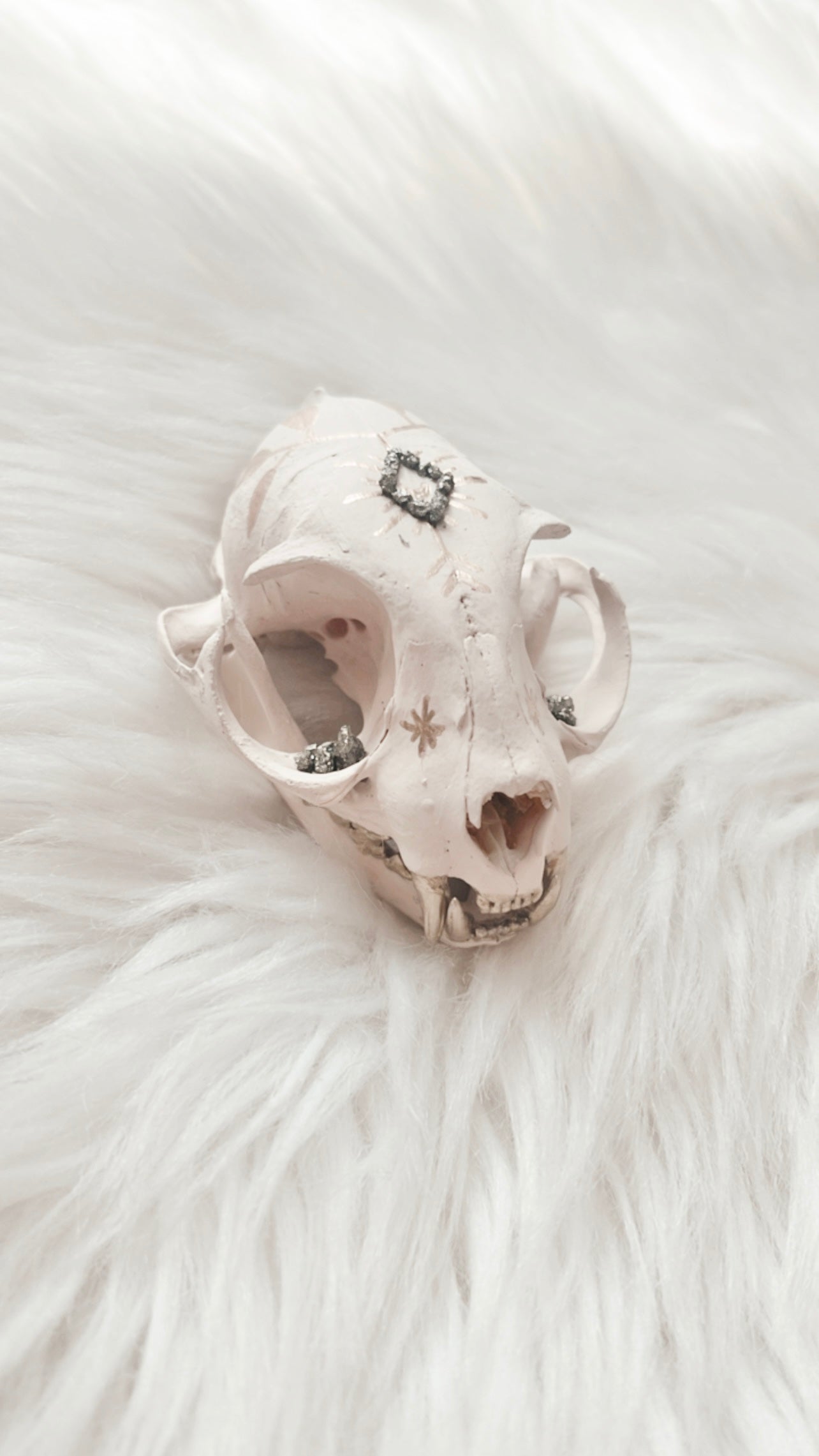 Genevieve Cat Skull