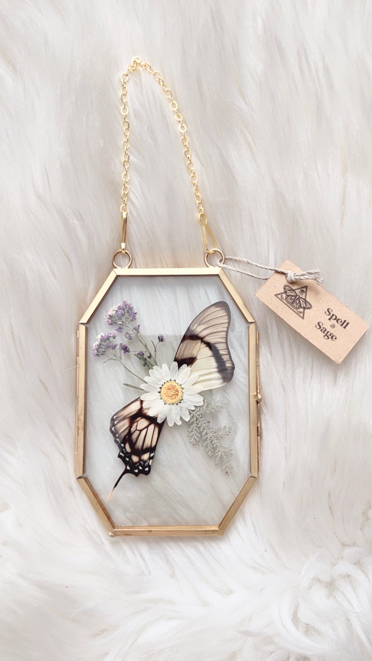 Gigi Butterfly Floral Frame <3x5in>