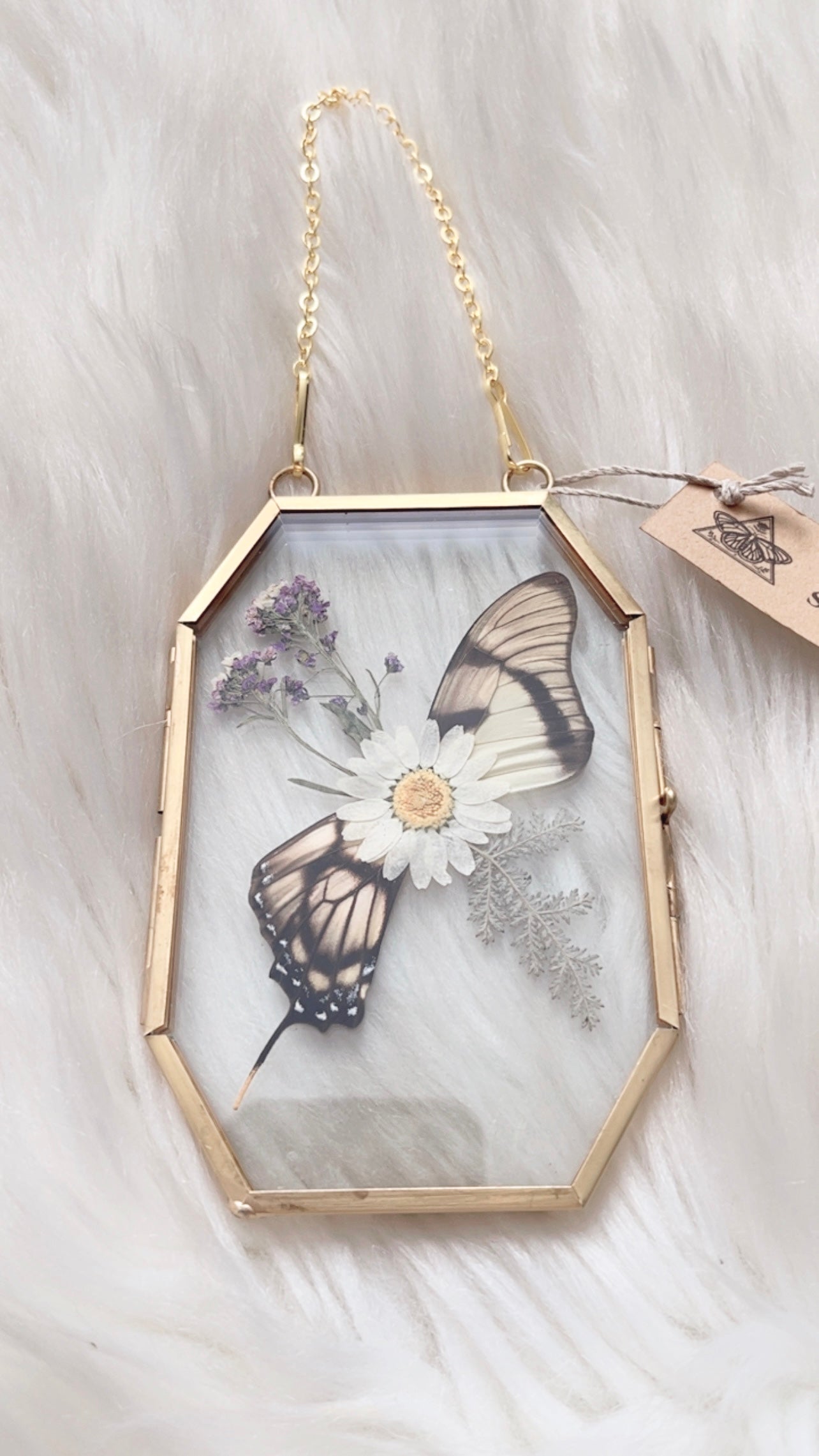 Gigi Butterfly Floral Frame <3x5in>