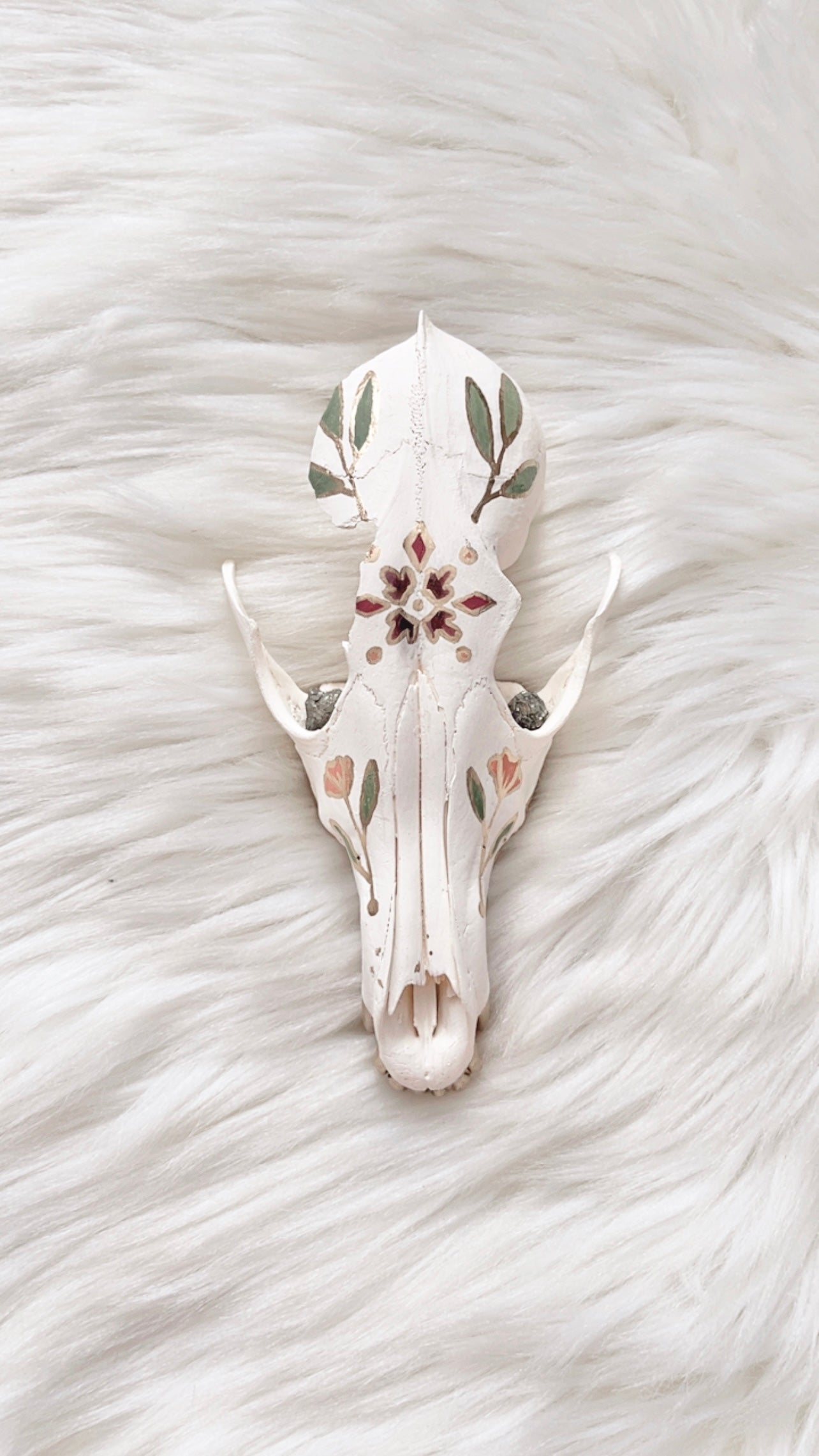 Gillian Coyote Skull