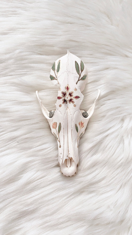 Gillian Coyote Skull