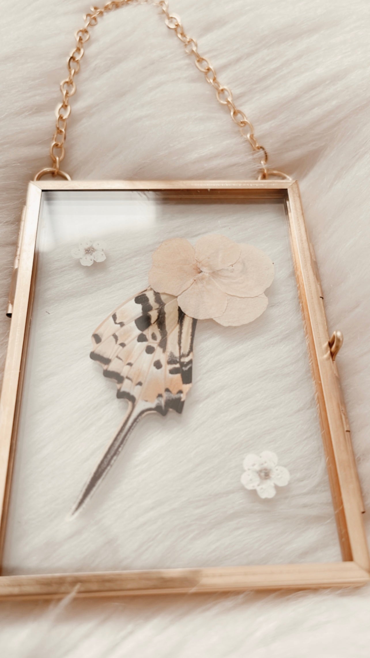 Giselle Butterfly Floral Frame