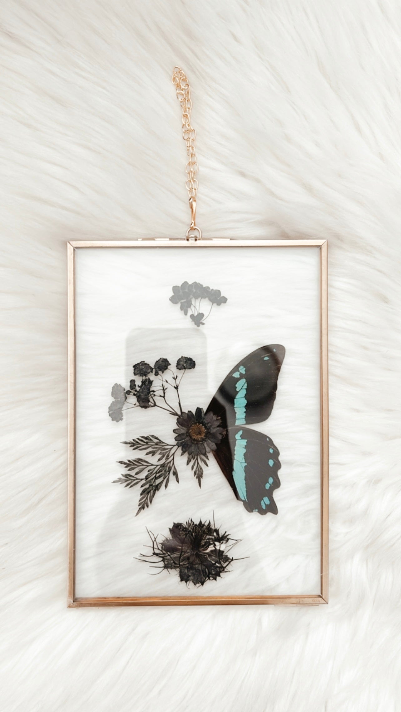 Gladys Butterfly Floral Frame