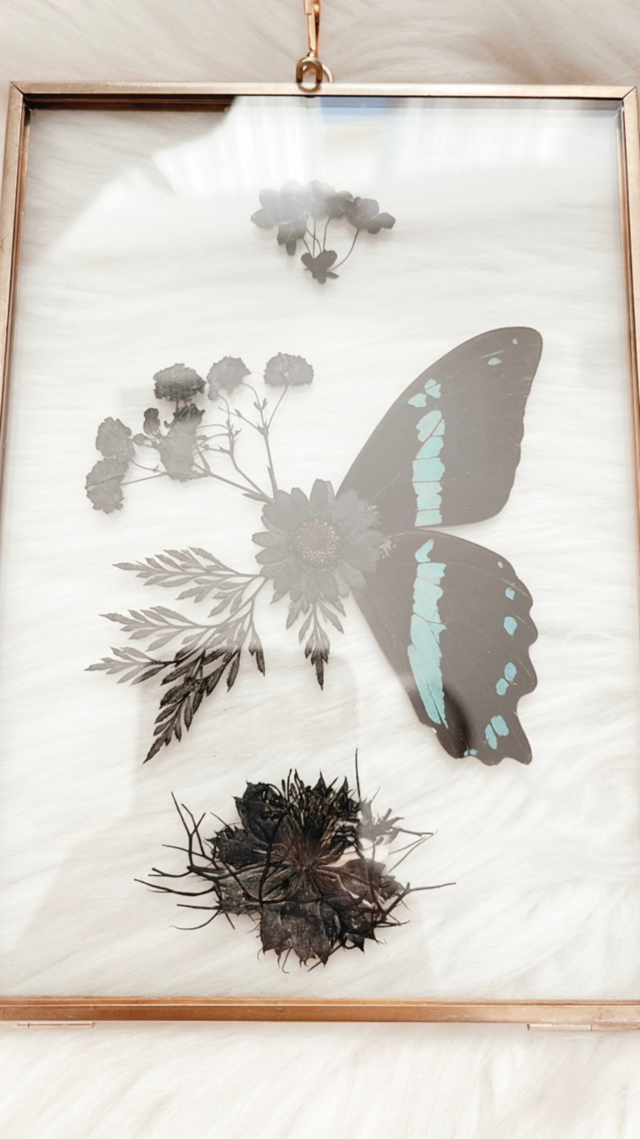 Gladys Butterfly Floral Frame
