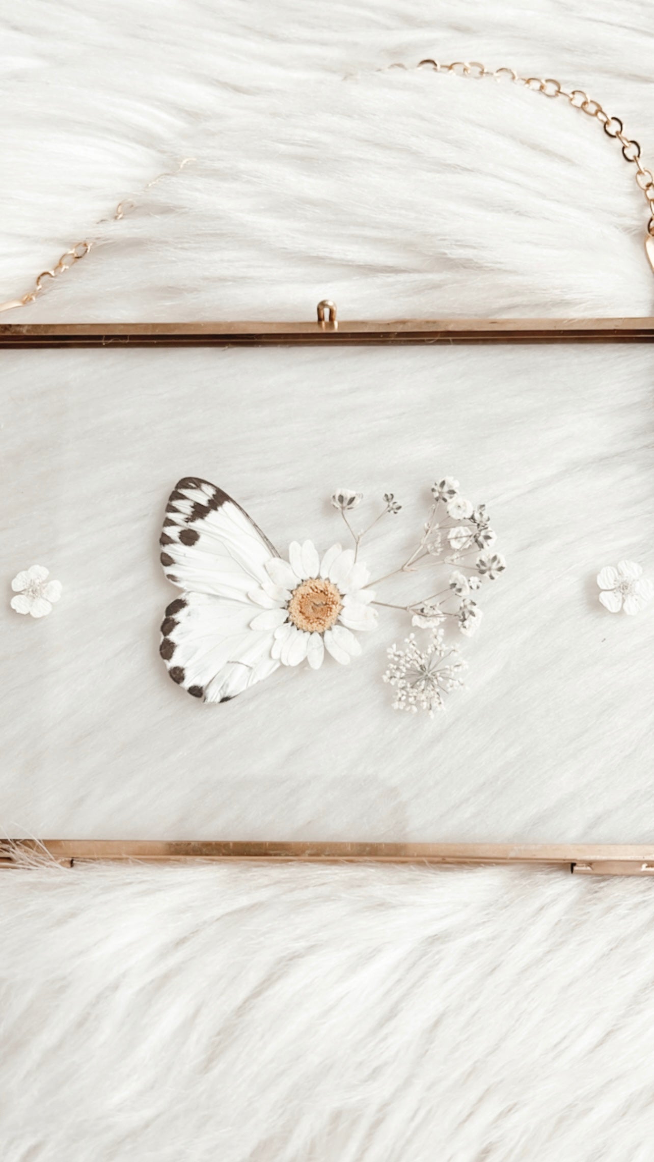 Grace Butterfly Floral Frame