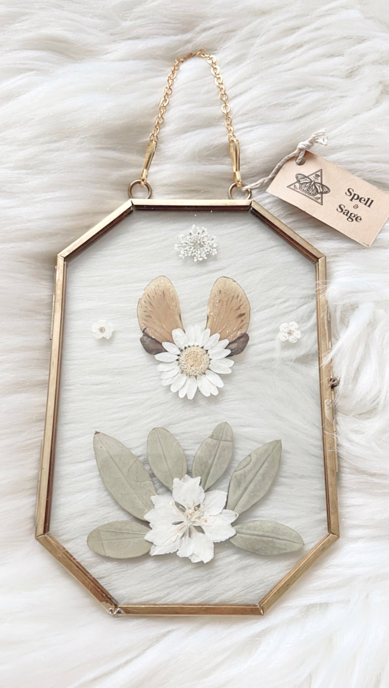 Gwendolyn Cicada Floral Frame <4.25x6.25in>