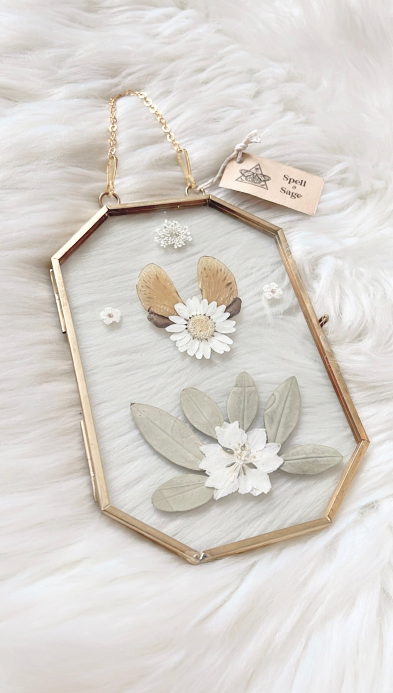 Gwendolyn Cicada Floral Frame <4.25x6.25in>