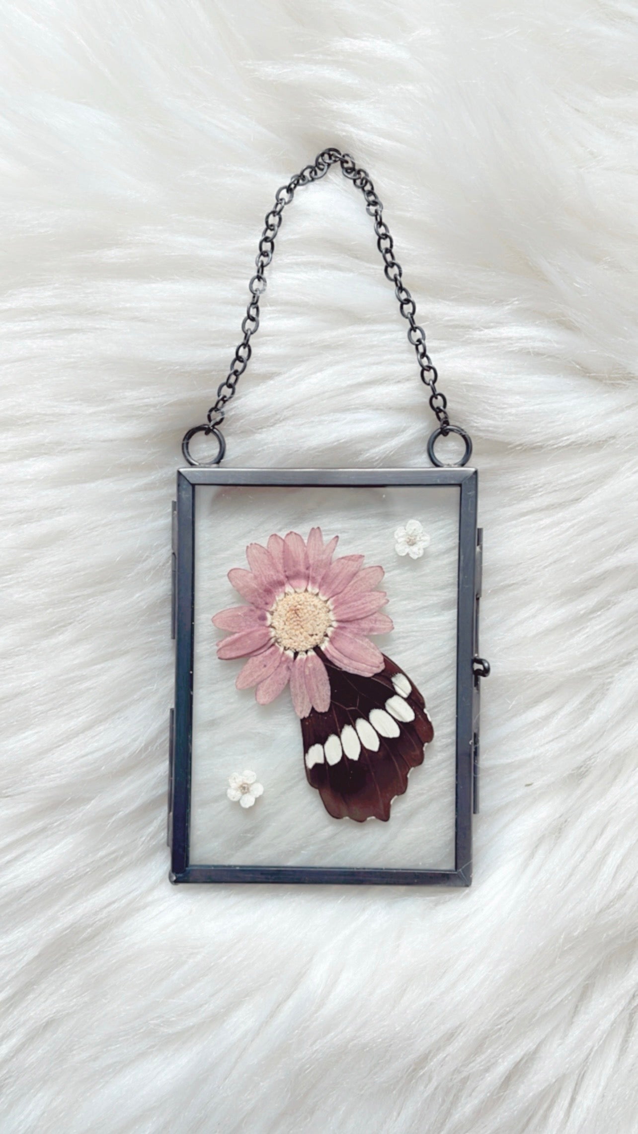 Hailey Butterfly Floral Frame