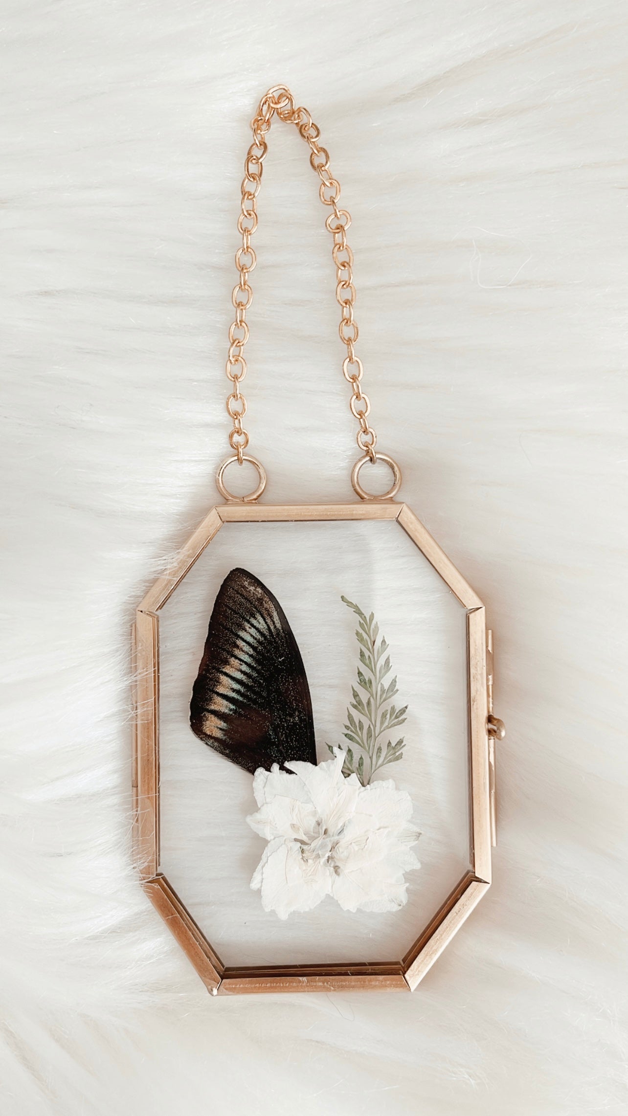Halsey Butterfly Floral Frame