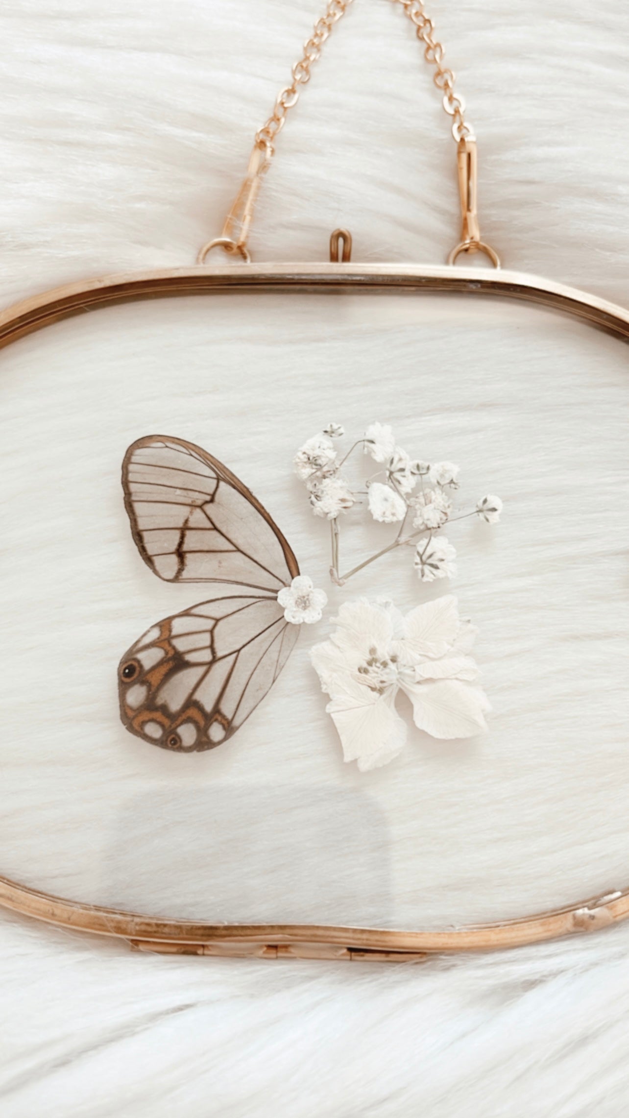 Halsey Butterfly Floral Frame