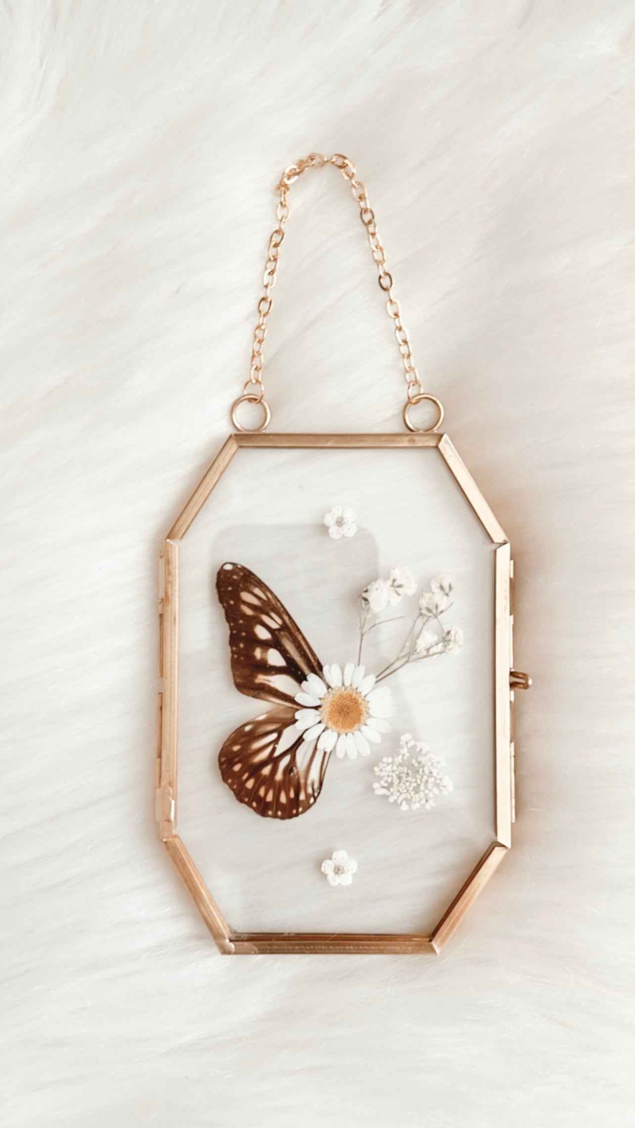 Hannah Butterfly Floral Frame