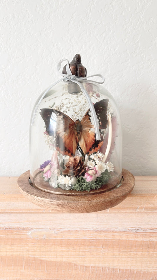 Harlowe Terrarium