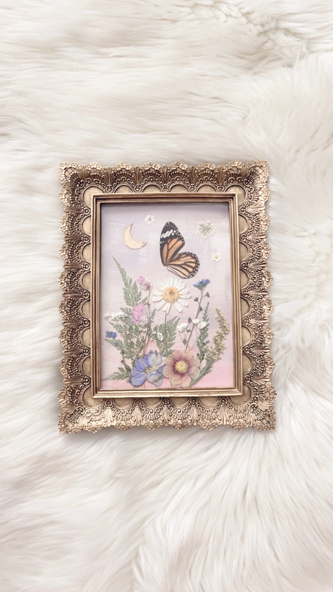 Harmony Butterfly Ornate Frame <7.5x9.5in>