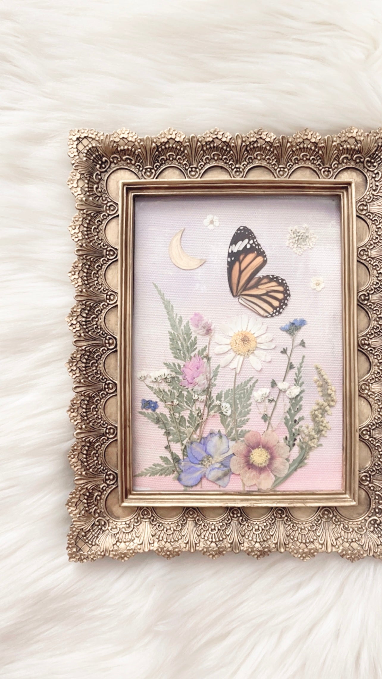 Harmony Butterfly Ornate Frame <7.5x9.5in>