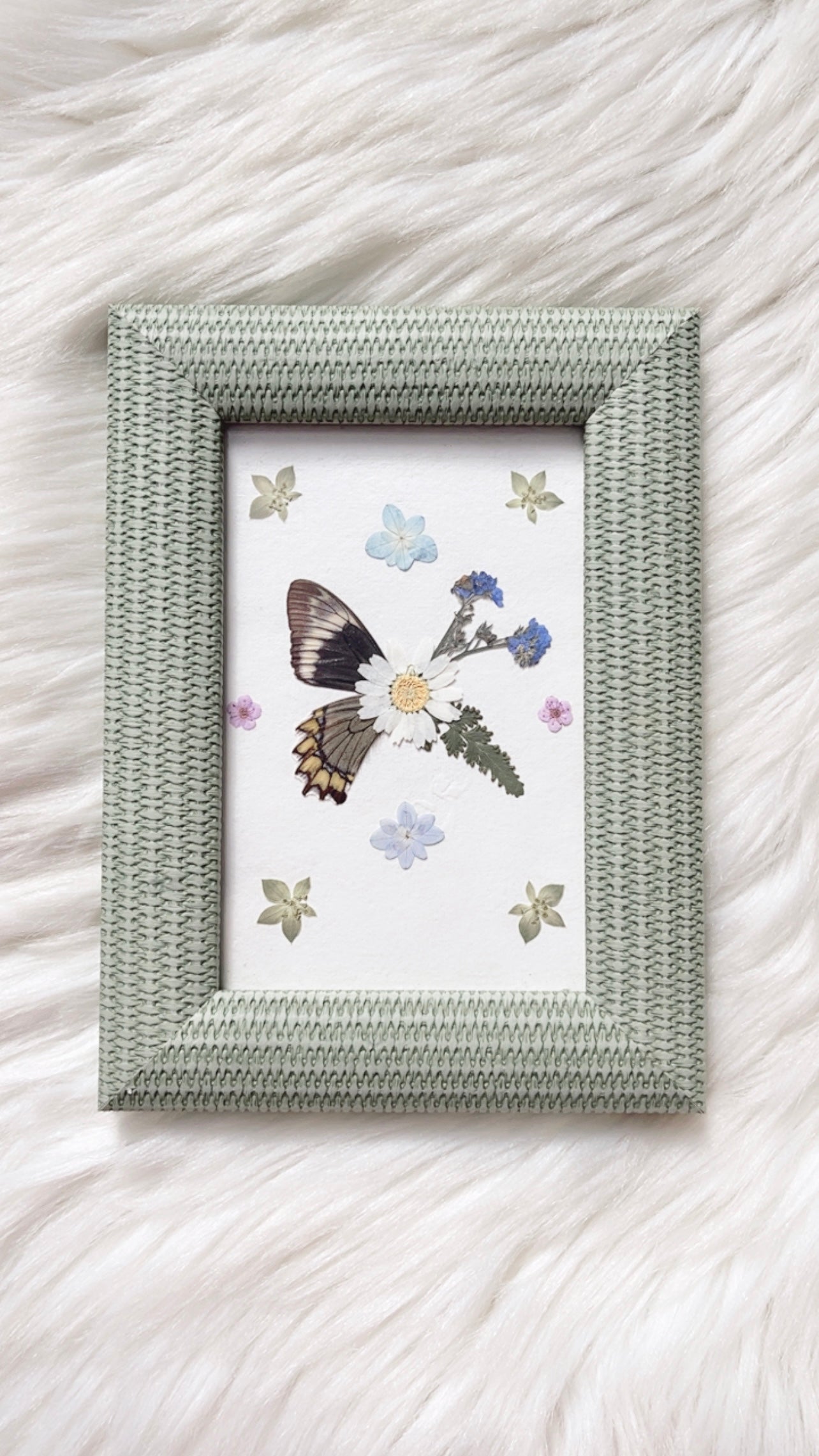 Harper Butterfly Decorative Frame