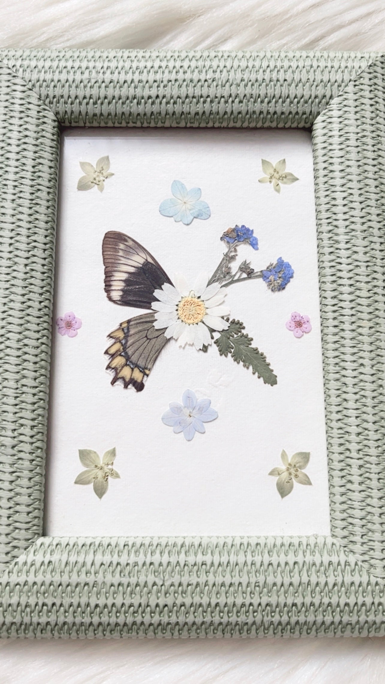 Harper Butterfly Decorative Frame
