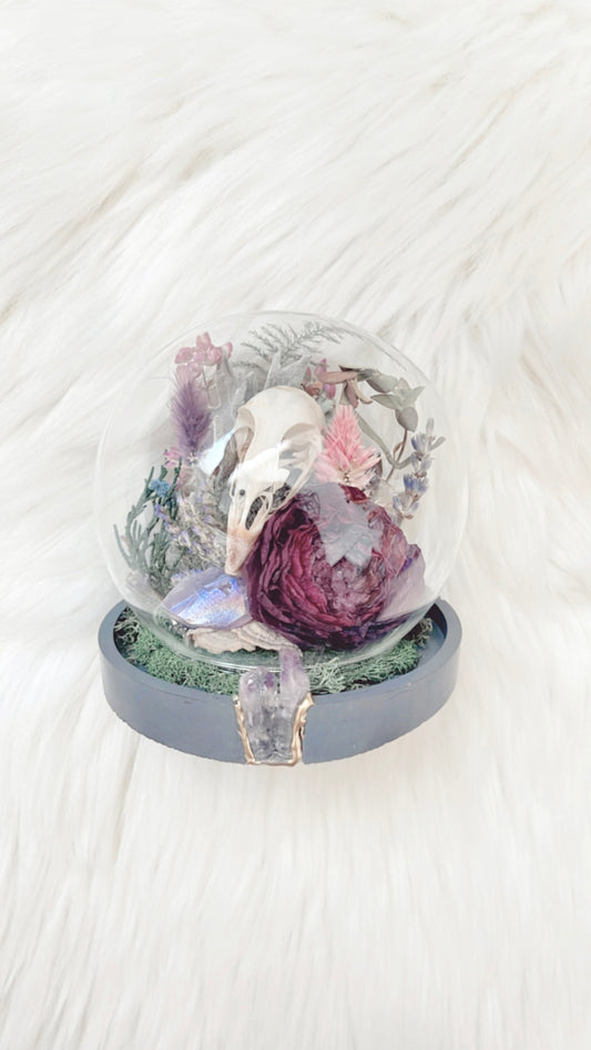 Harper Terrarium