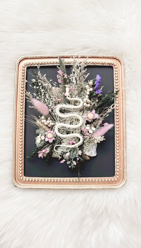 Haven Oddities Frame <Snake Skelly>