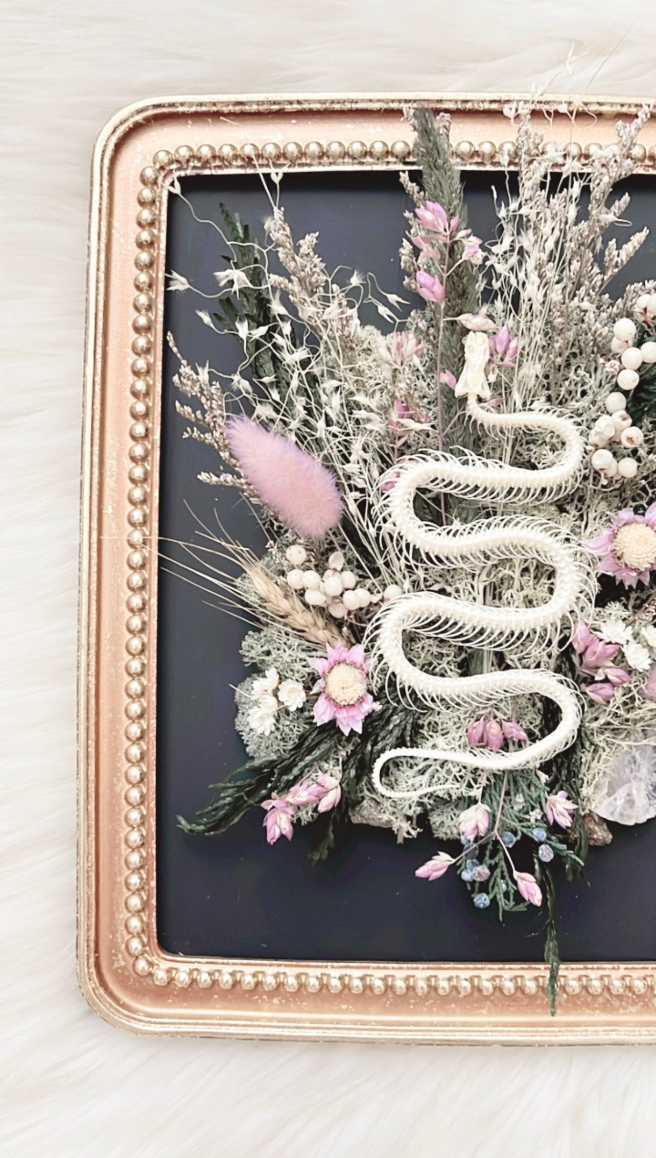 Haven Oddities Frame <Snake Skelly>