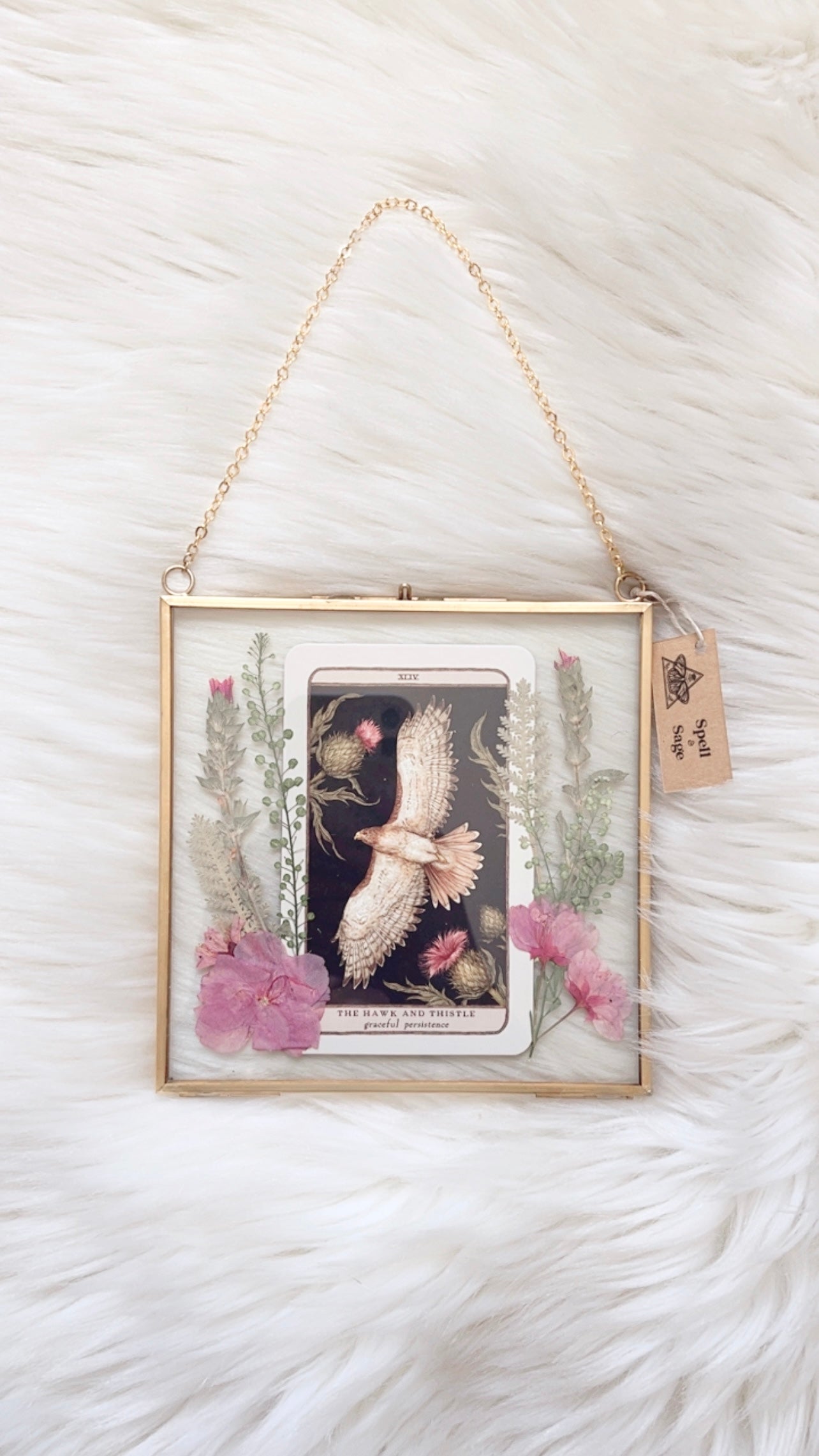 The Hawk and Thistle Oracle Floral Frame
