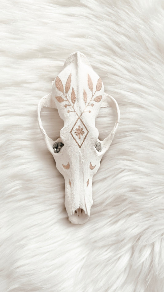 Xena Coyote Skull