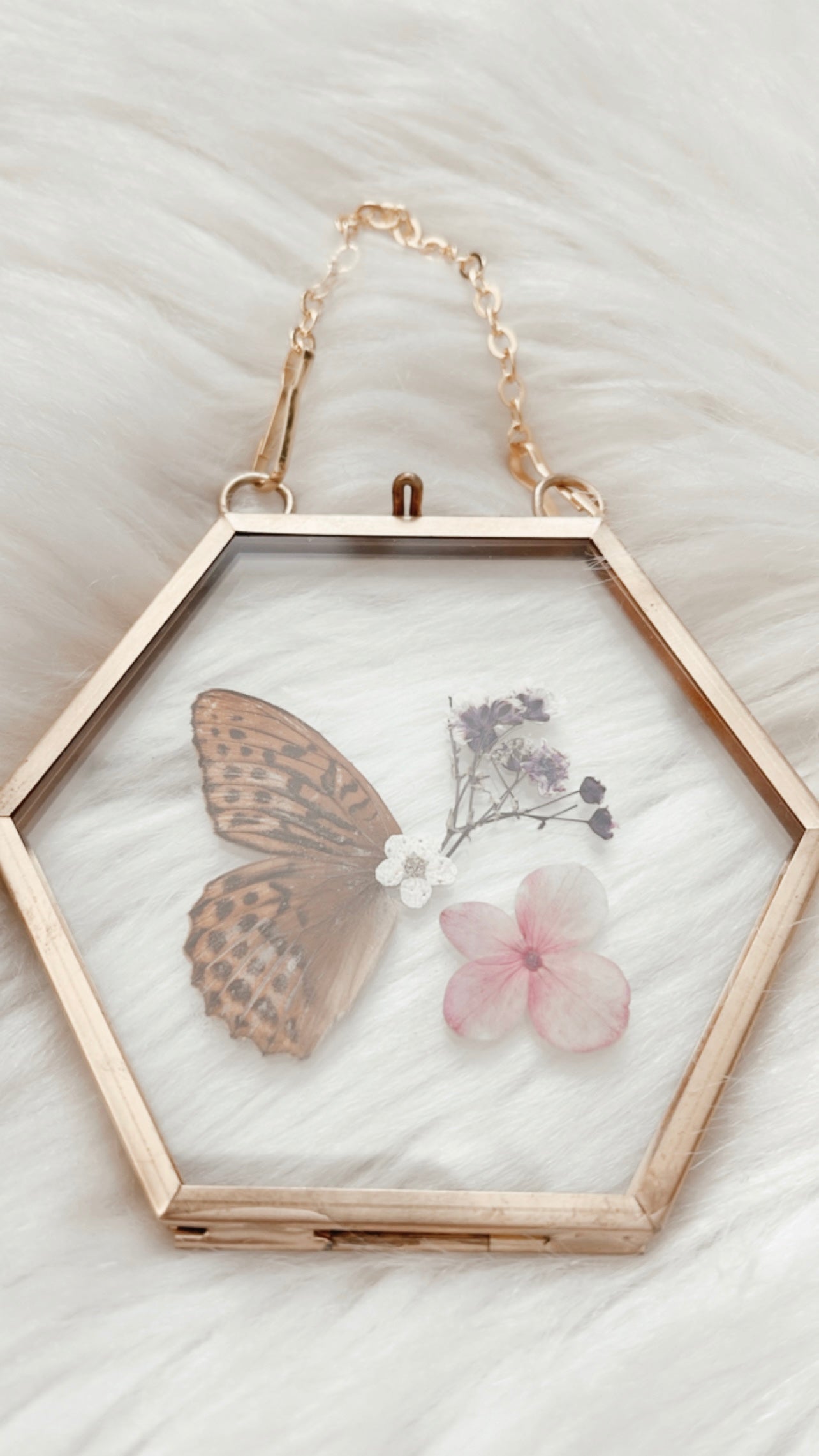 Hayley Butterfly Floral Frame