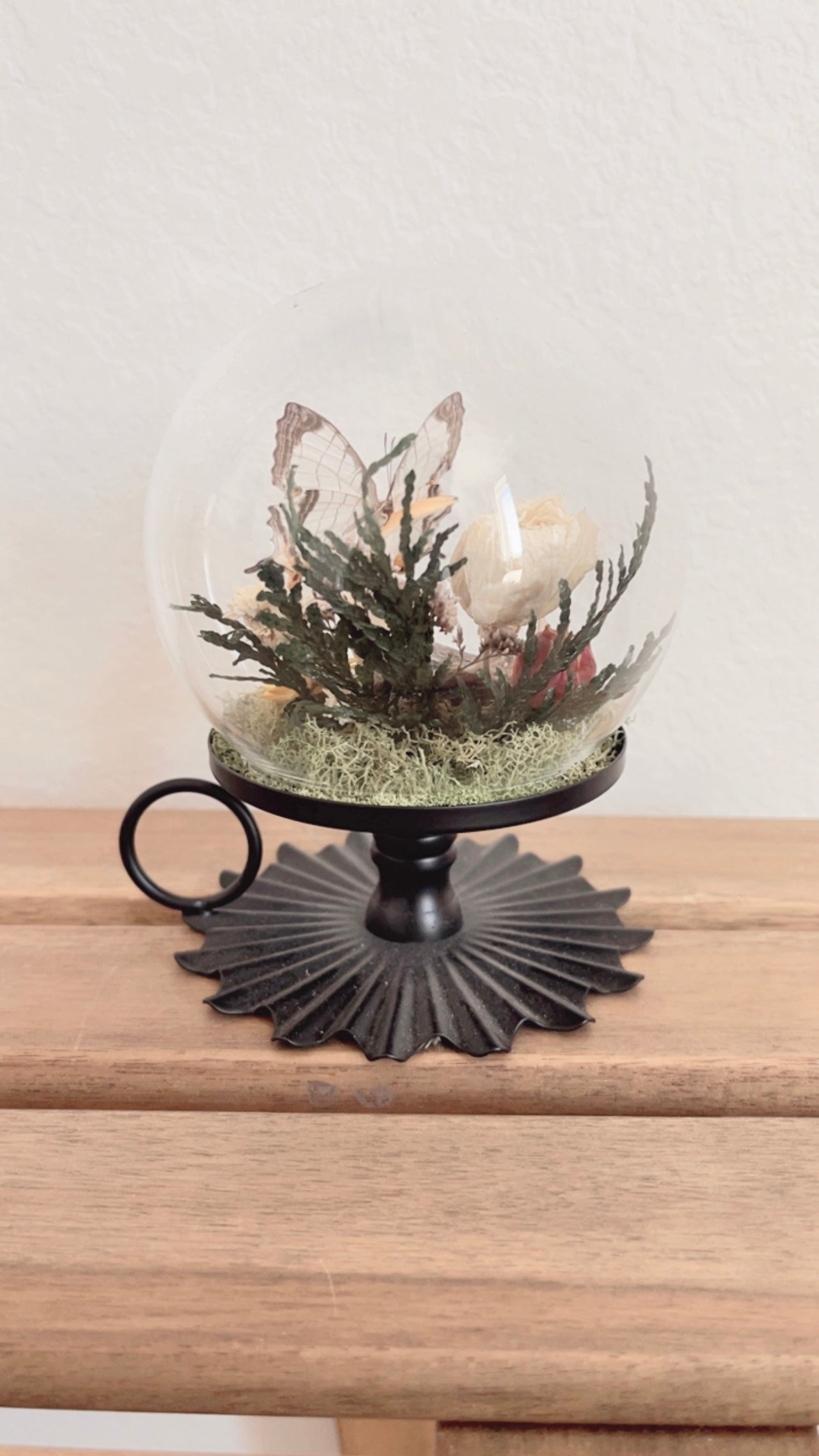 Hazel Terrarium