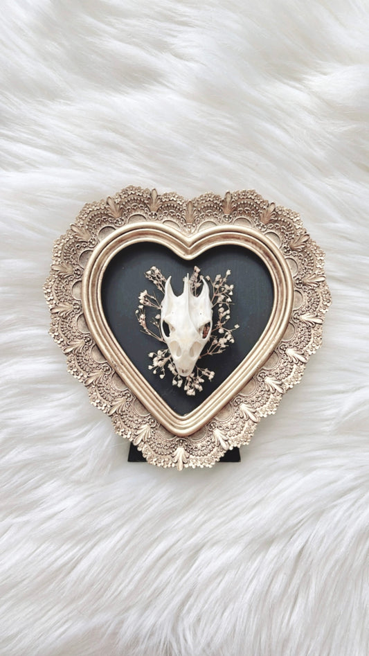 Hazel Turtle Skull Frame