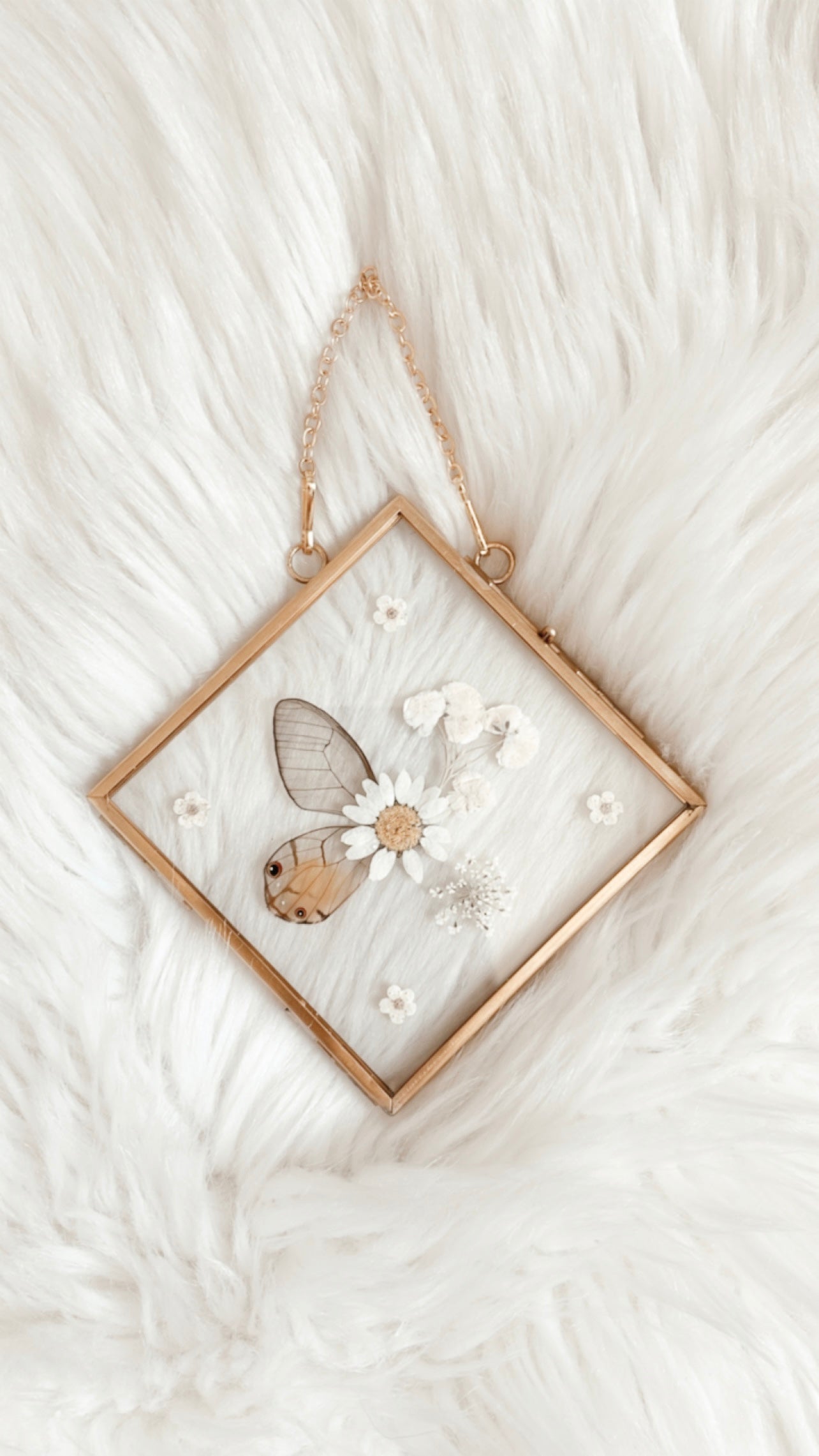 Henrietta Butterfly Floral Frame