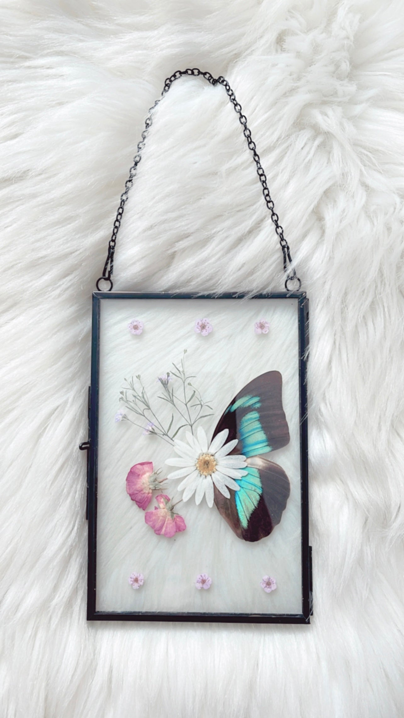 Henrietta Butterfly Floral Frame