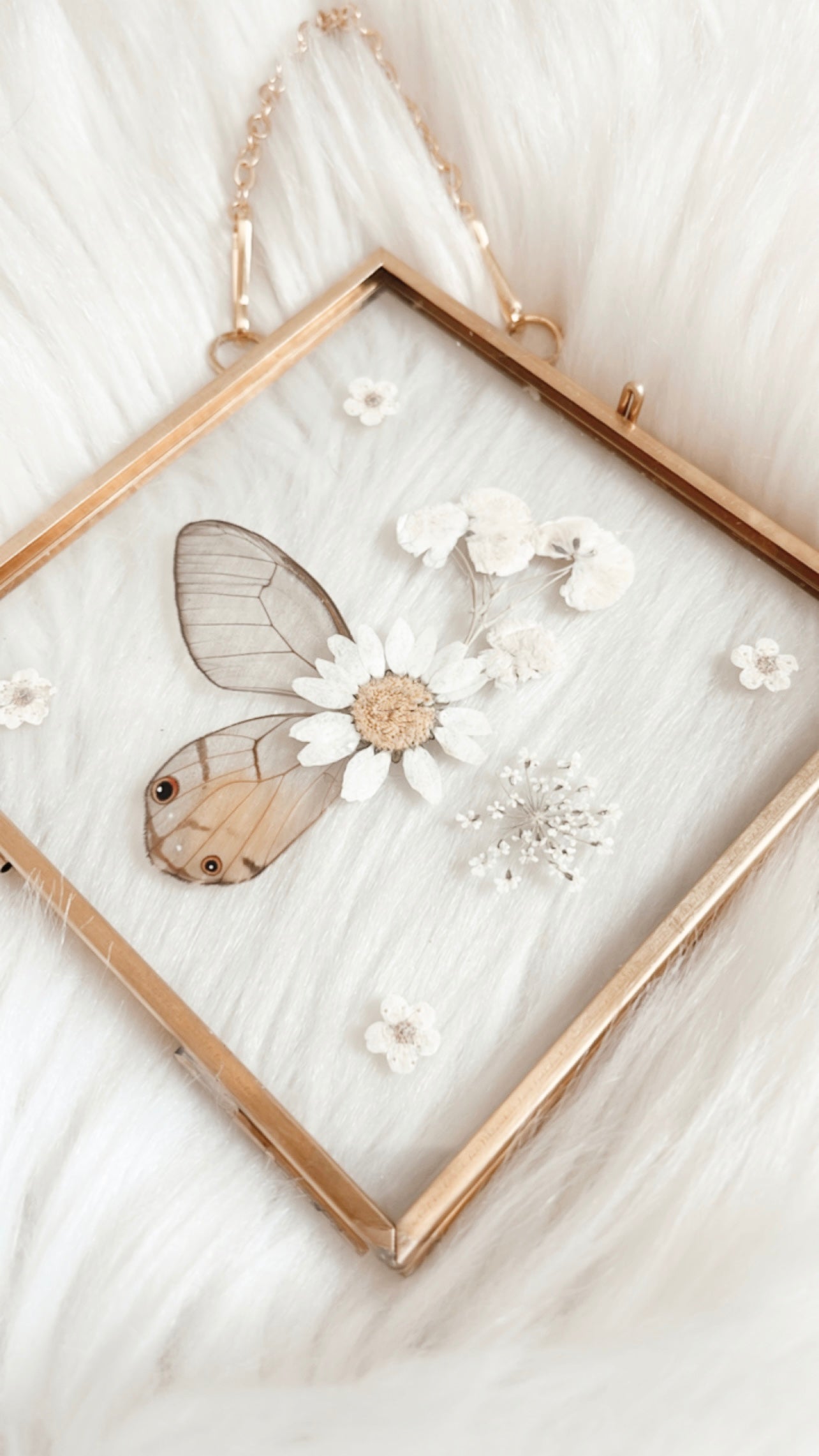 Henrietta Butterfly Floral Frame