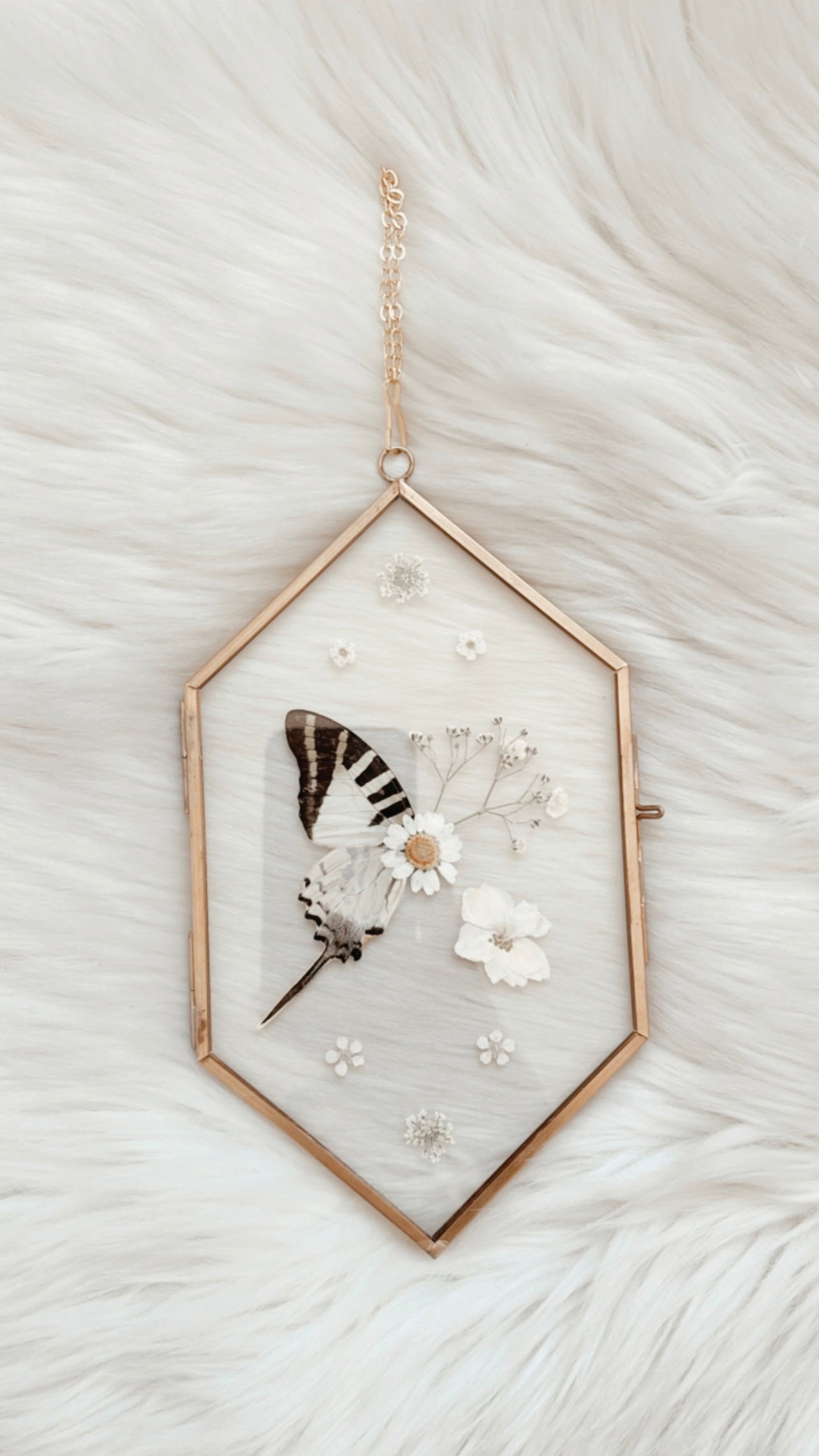 Ida Butterfly Floral Frame