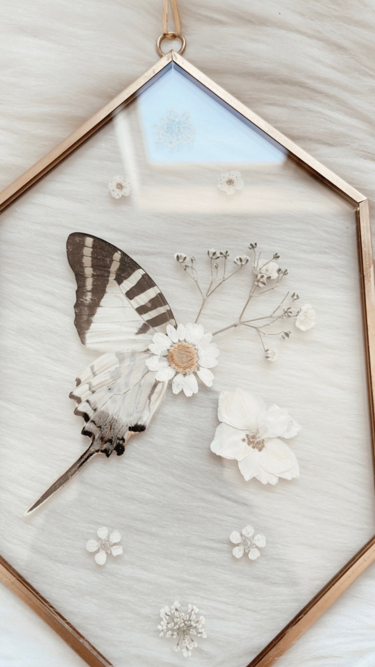 Ida Butterfly Floral Frame