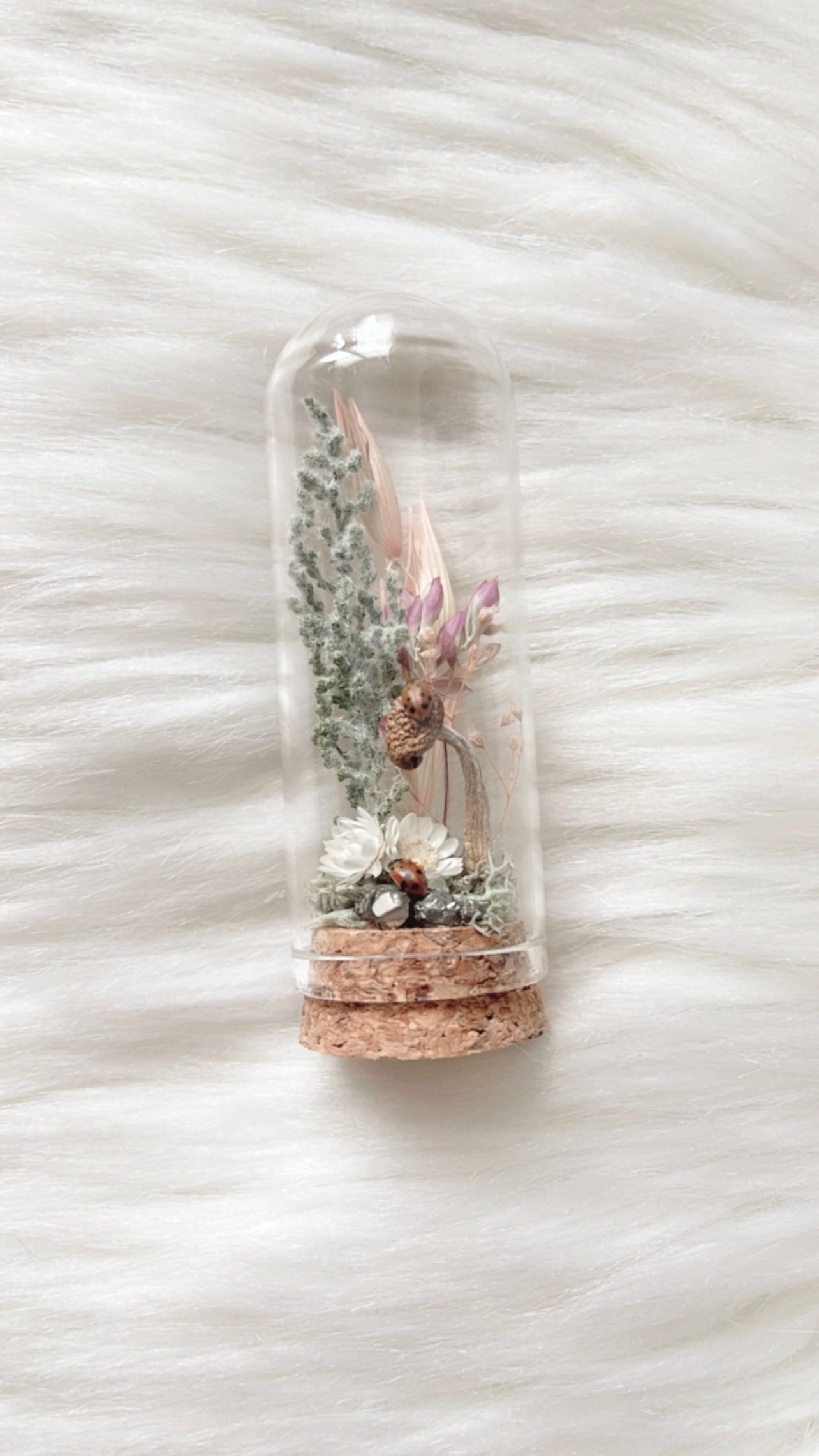 Imogene Terrarium