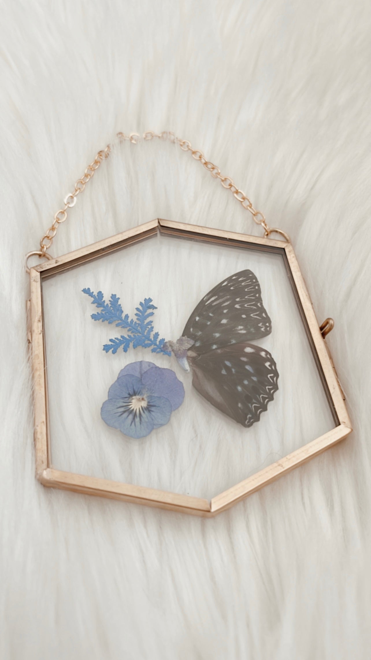 Indigo Butterfly Floral Frame