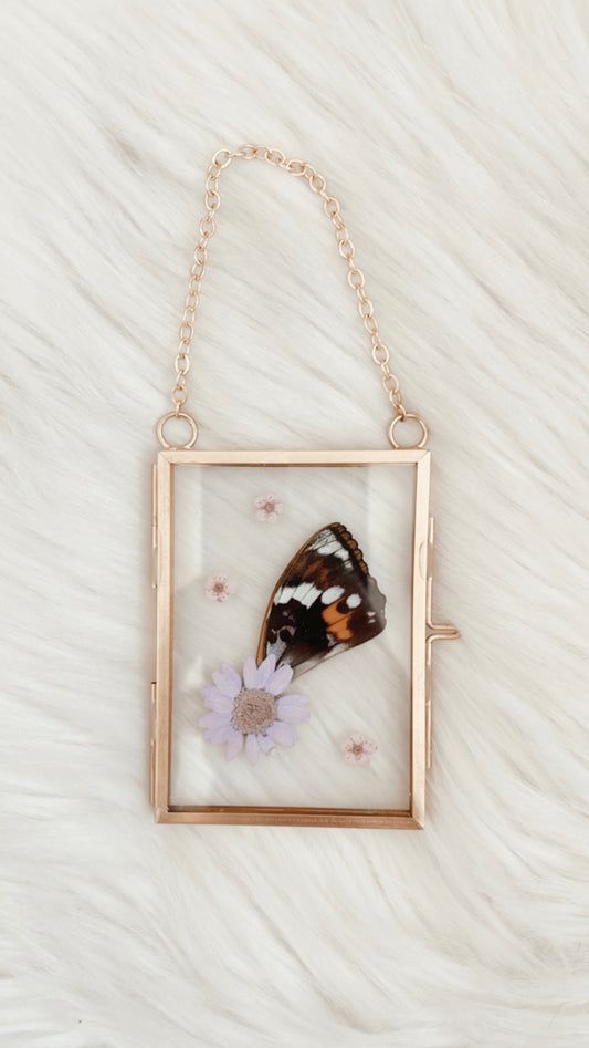 Iris Butterfly Floral Frame
