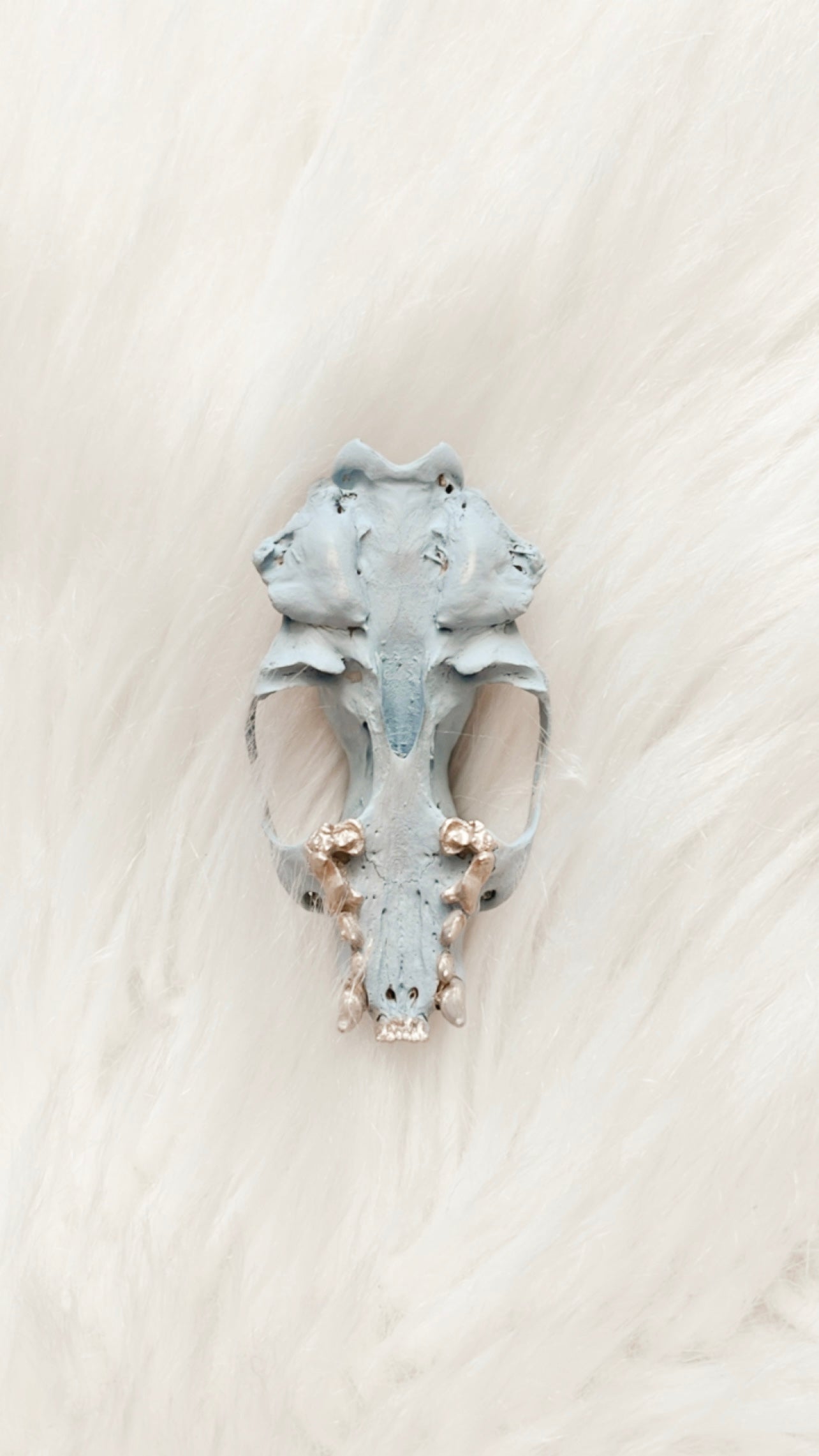 Iris Mink Skull