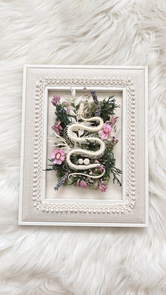 Iris Oddities Frame <Snake Skelly>