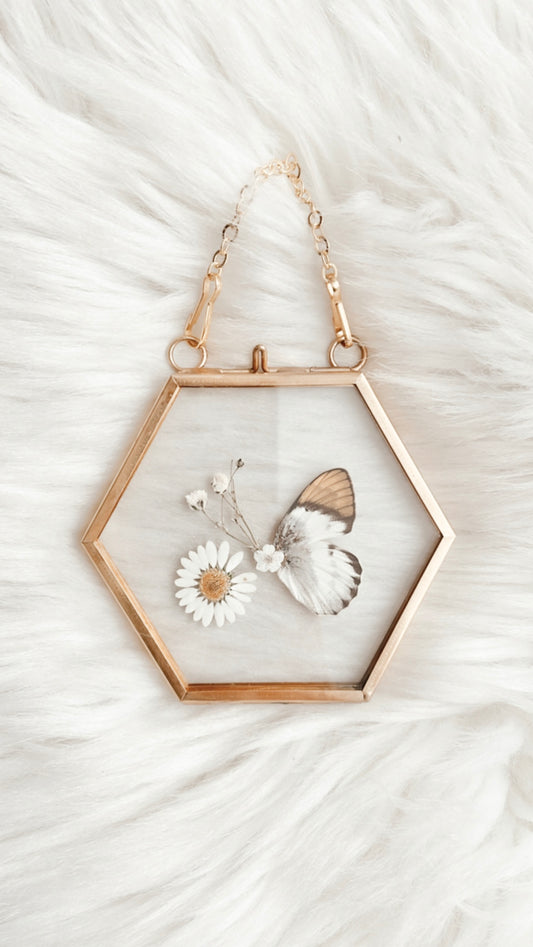 Isabella Moth Floral Frame