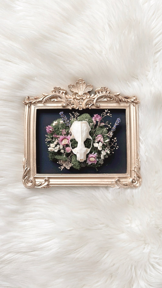 Isadora Oddities Skull <Mink Skull>