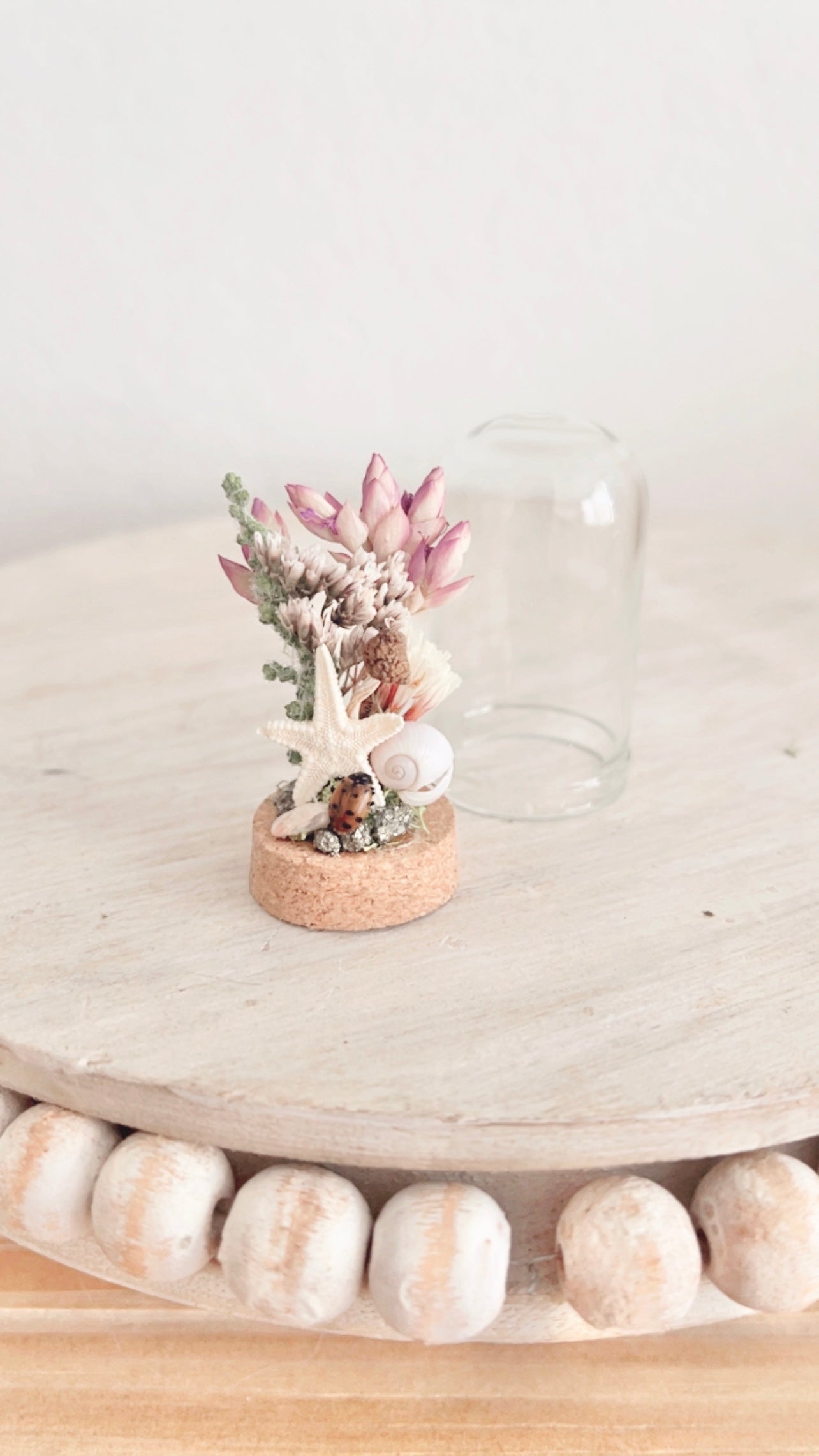 Isla Mini Terrarium