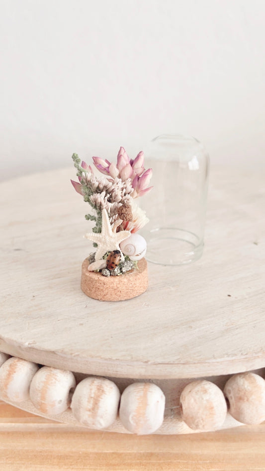 Isla Mini Terrarium