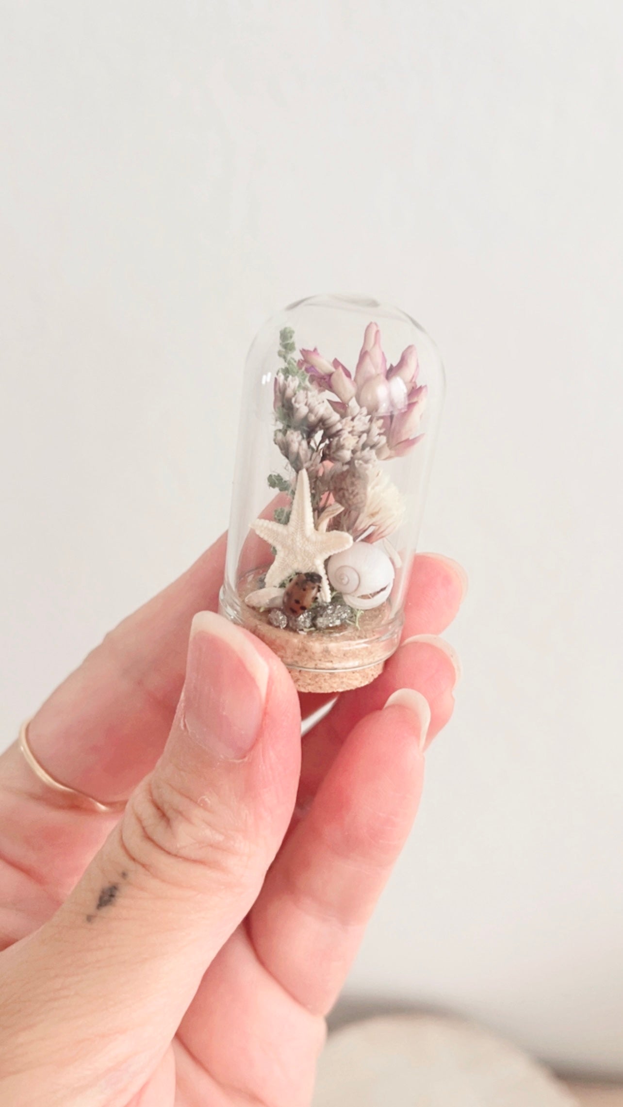 Isla Mini Terrarium