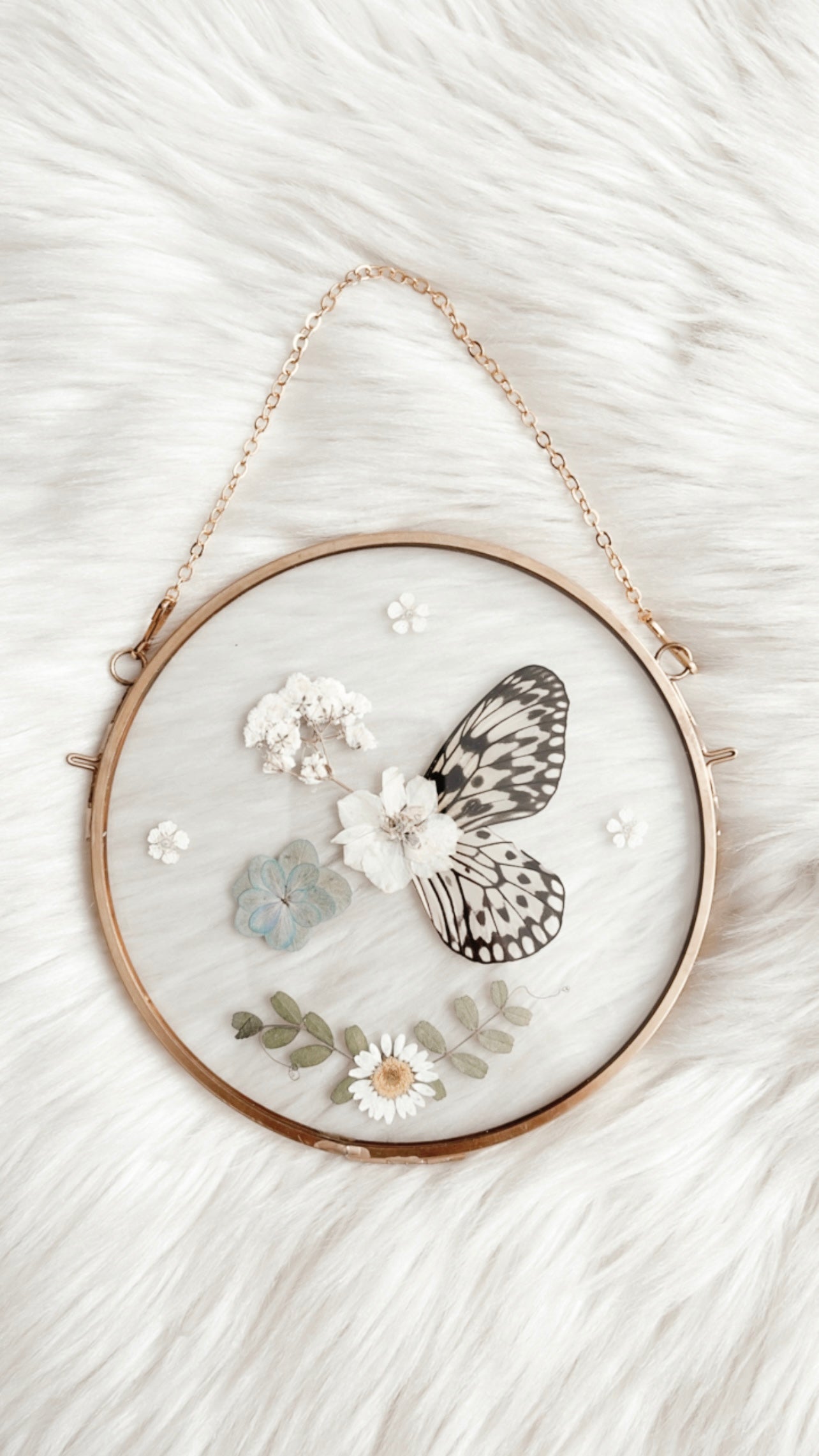 Jasmine Butterfly Floral Frame