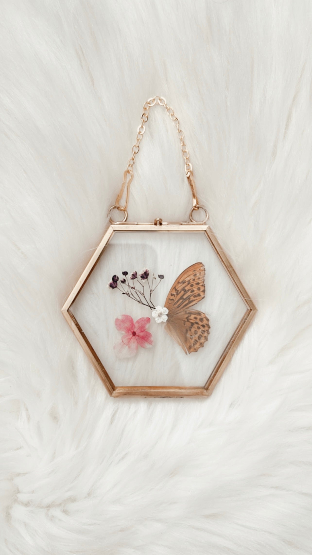 Jennifer Butterfly Floral Frame