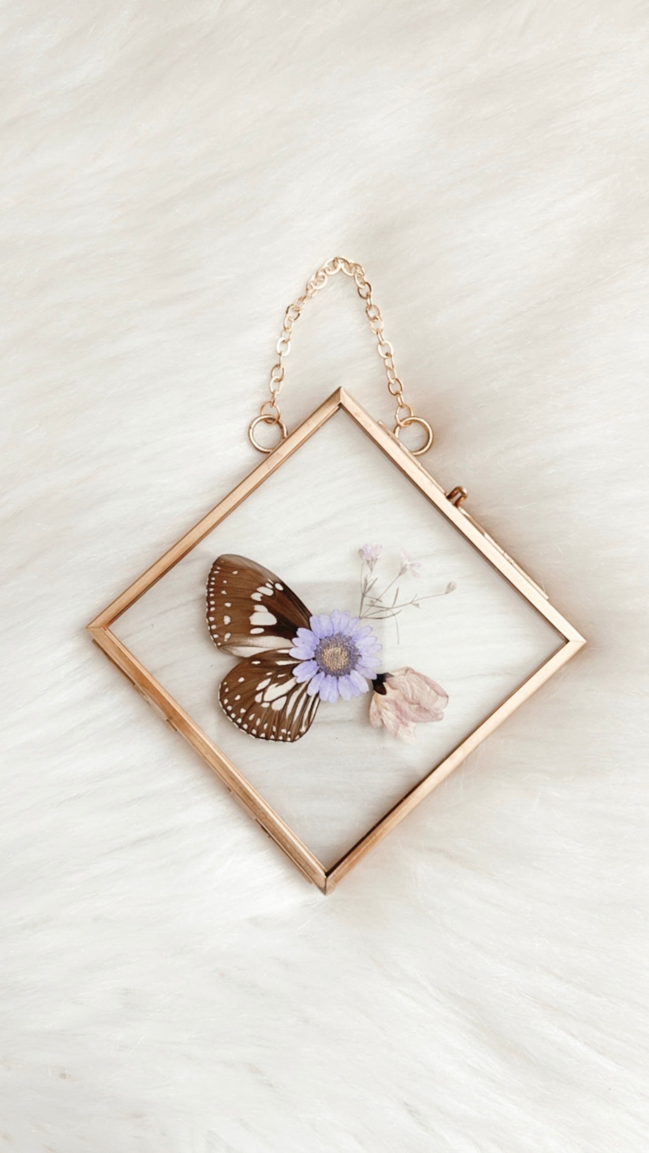 Jessica Butterfly Floral Frame