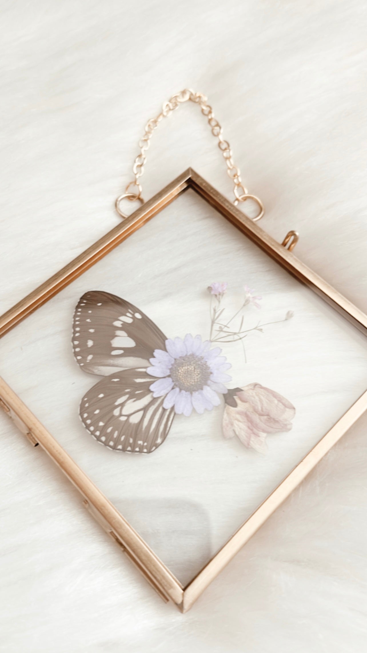 Jessica Butterfly Floral Frame