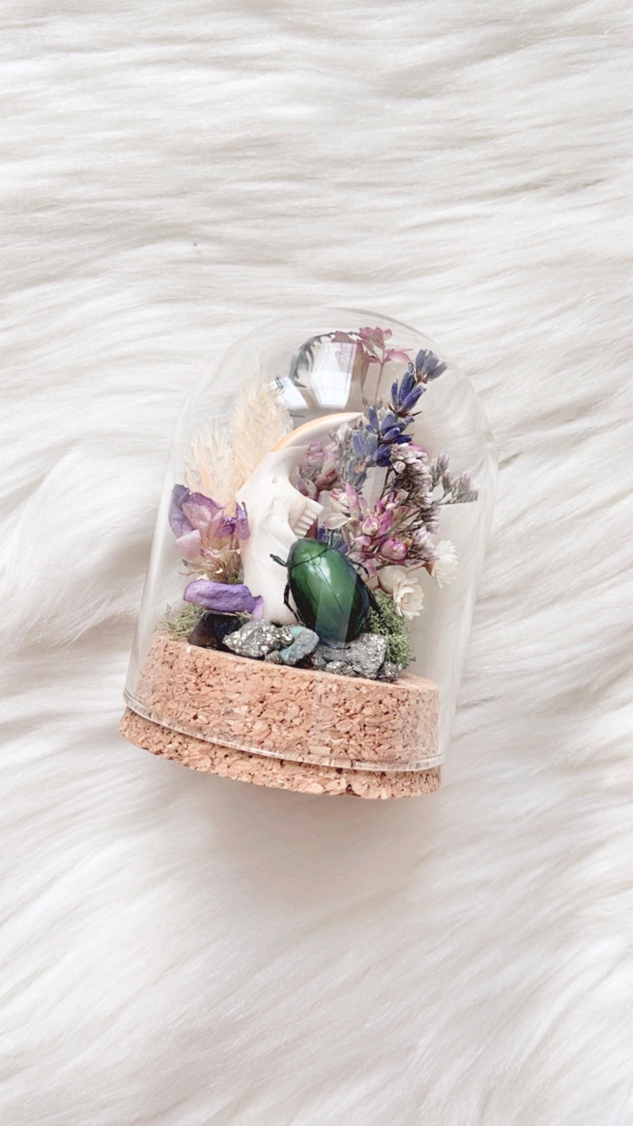 Jess Terrarium
